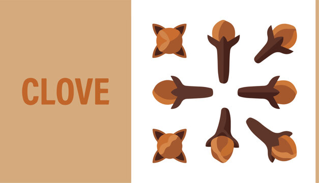 A vibrant illustration of cloves arranged in a circular pattern on a clove colored background