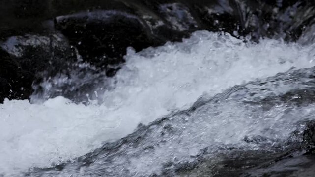 日本の清流を流れる透き通った水の流れのスローモーション素材