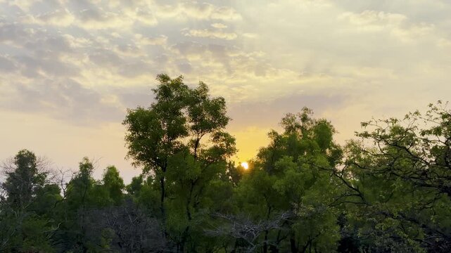 A Majestic view of sunrise in forest of Western ghat