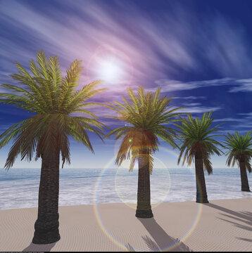 Beautiful beach with palm trees at sunset, panorama of a tropical landscape, sea sunset,