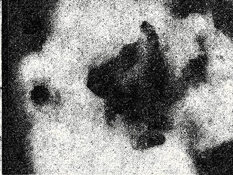 Abstract Risograph scan texture overlay with stipple grain and photocopy artifacts.