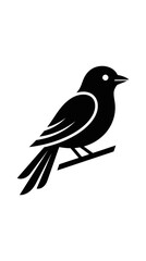 Fototapeta premium Minimalist Silhouette of a Bird Perched on a Branch