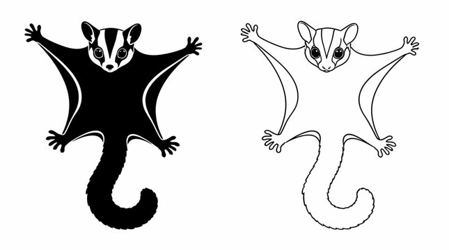 Sugar Glider Silhouette and Line Art Vector Illustration