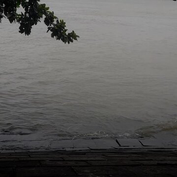 A subdued, overcast waterscape featuring dark, rippling water filling the majority of the frame.