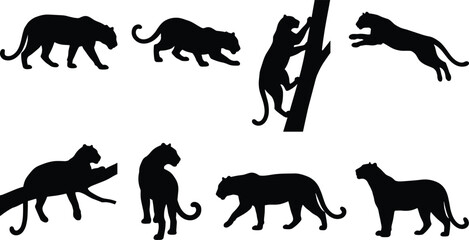 Big Cat Panther Silhouette Collection Set with Walking, Leaping, Climbing, and Hunting Wildlife Poses © Mokshad Ali