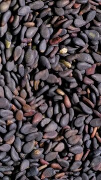 Black sesame seeds close-up. Dense texture of small dark sesame seeds with brown accents.
