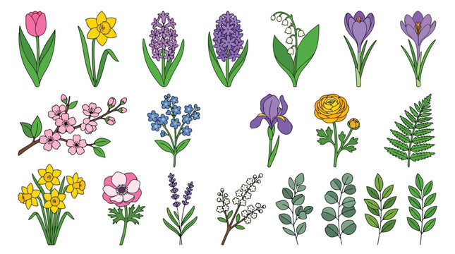 Colorful flower and leaf illustrations on white