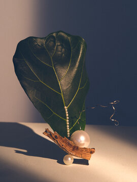 Pearls balancing on a leaf and wood art piece