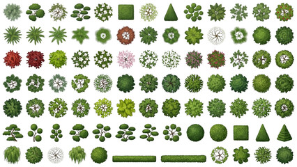 Fototapeta premium Top View Architectural Green Trees and Landscape Plants Vector Set for Plans
