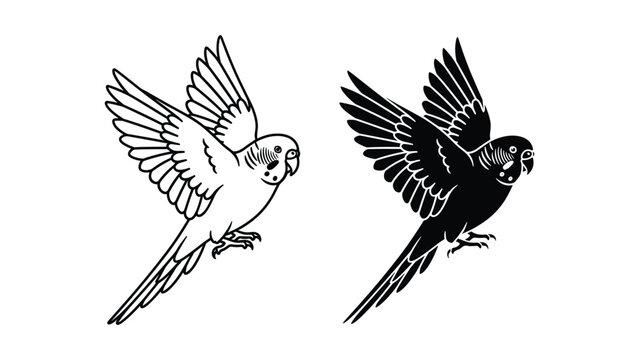Set of two budgerigar parrots in flight, line art and silhouette style vector illustration
