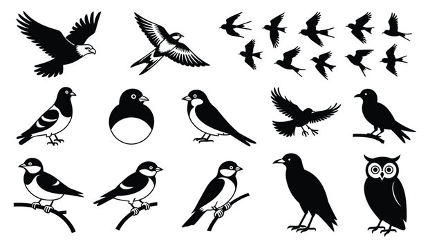 Bird icon featuring flying, perched, and owl silhouettes with raven, pigeon, swallow, and sparrow vector design.