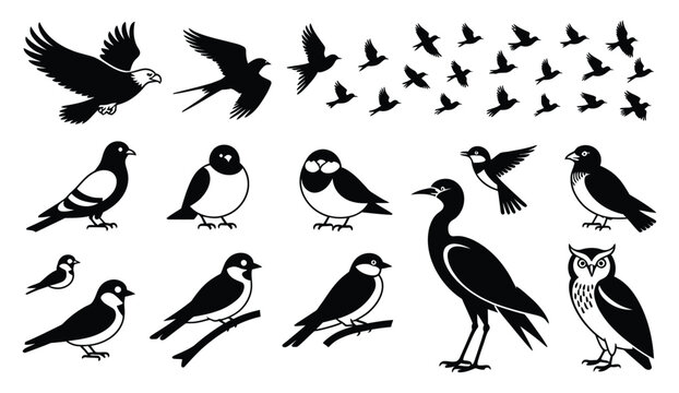 Bird icon featuring flying, perched, and owl silhouettes with raven, pigeon, swallow, and sparrow vector design.