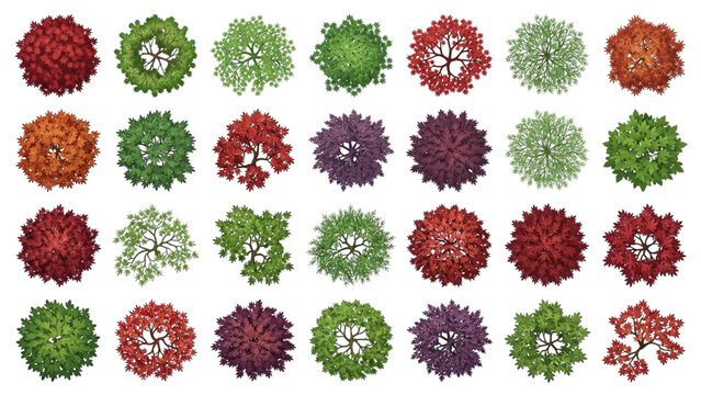 Top View Architectural Mixed Green and Autumn Trees Vector Set for Plans
