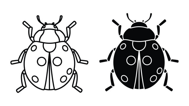 Set of ladybug icons, line art and silhouette style, vector illustration of a beetle isolated on white background