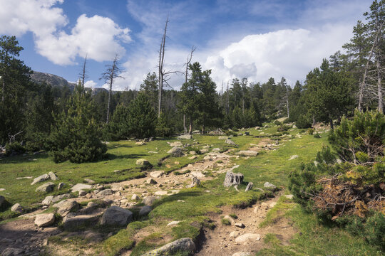Exploring the Serene Landscape of Cerdanya in the Pyrenees Mountains, Catalonia
