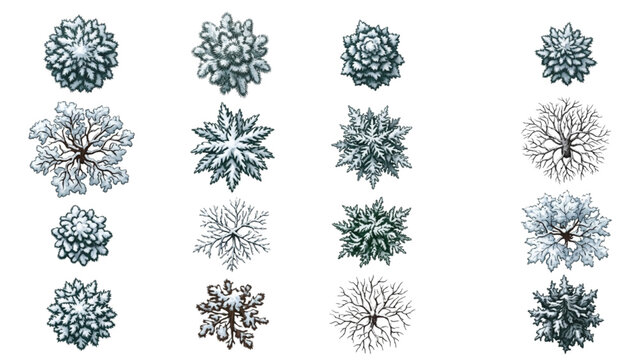 Top View Architectural Winter Trees and Plants Vector Set for Plan Renderings