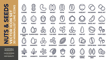 Minimalist nuts and seeds vector icon set, 30 minimalist line icons for nutrition and healthy food ingredients, clean black outline nut illustrations © Seli