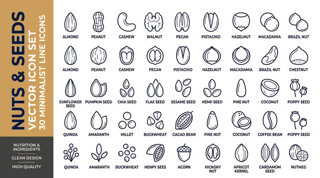 Minimalist nuts and seeds vector icon set, 30 minimalist line icons for nutrition and healthy food ingredients, clean black outline nut illustrations