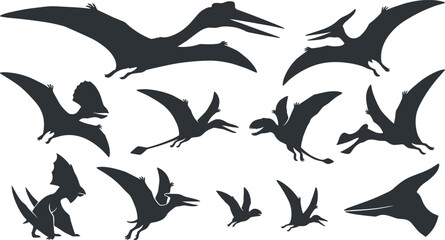 Pterosaur Dinosaur Silhouette Collection Featuring Flying Prehistoric Reptiles Pterodactyl Pteranodon and Jurassic Fossil Creatures Black Vector Illustration Set © MdNazmul
