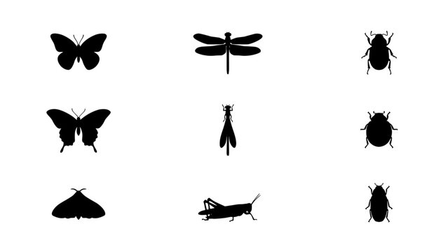 Collection of Nine Black Insect Silhouettes Including Butterflies, Dragonfly, Grasshopper, and Beetles