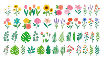 Colorful Flat Floral and Botanical Vector Collection © Prodip