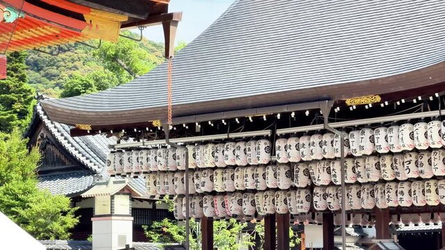 Rows of Japanese lanterns hang at a traditional shrine with lush greenery behind