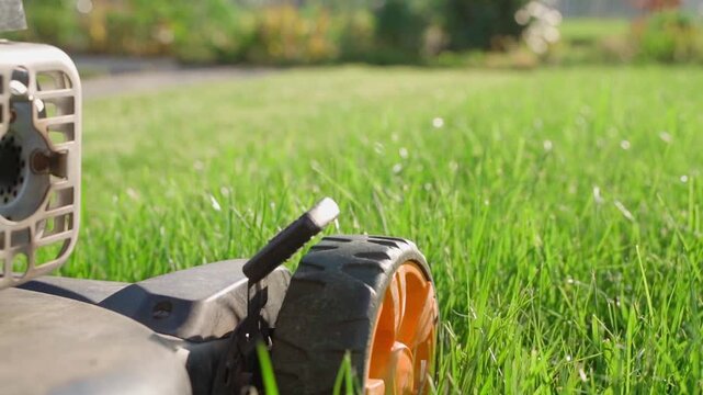 Lawn mower moving over lawn grass on sunny day close-up 