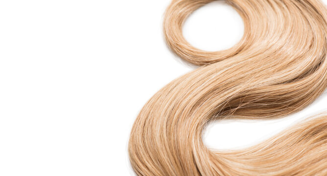 Blond hair curls isolated on white background, lock of hair, healthy and beauty dyed hair border design, salon, treatment, cure, dying concept. Close up, top view 