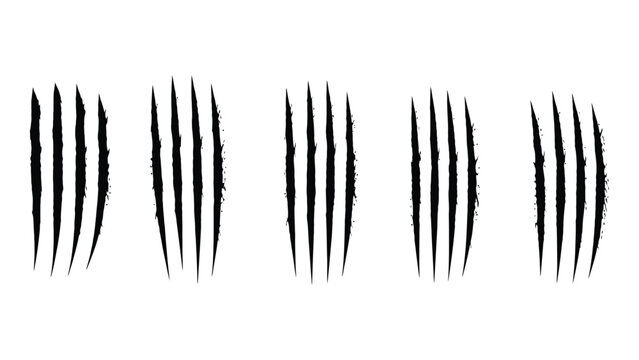 Black tiger claw marks scratches