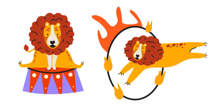 Vector illustration set of a cute circus lion sitting on a pedestal and a trained lion jumping through a flaming hoop isolated on white background