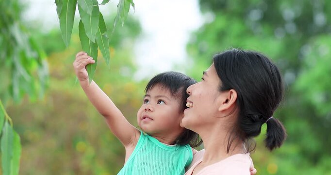 Happy mother holding her toddler while exploring and touching tree eucalyptus leaves outdoors. Family bonding, early childhood learning, nature exploration, parenting, and healthy lifestyle concept