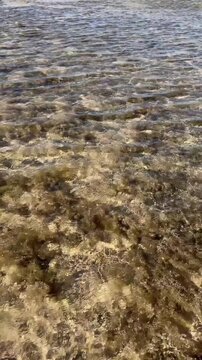 Coral shallow water, clear turquoise sea, sunlight rays, colorful reef, tropical marine paradise, peaceful snorkeling spot.