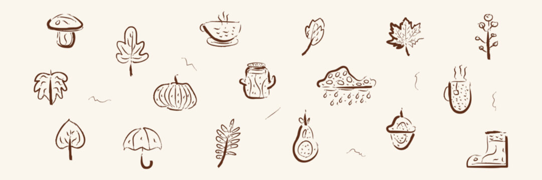 Autumn hand drawn doodle asset pack fall thanksgiving single line art visual set with pumpkin and leaf