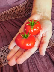 Close up of a female person holding two fresh ripe red tomatoes in the palm of her hand © Özgür Güvenç
