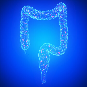 Illustration of the intestinal microbiota