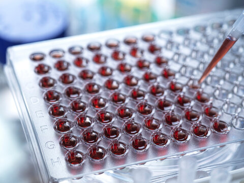 Cell research, conceptual image