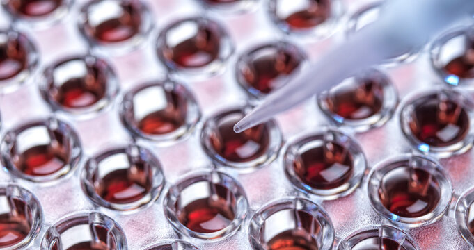 Cell research, conceptual image