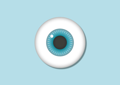Eye, illustration
