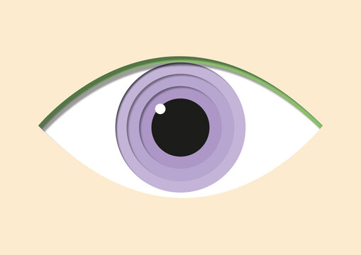 Eye, illustration