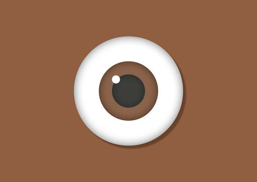 Eye, illustration