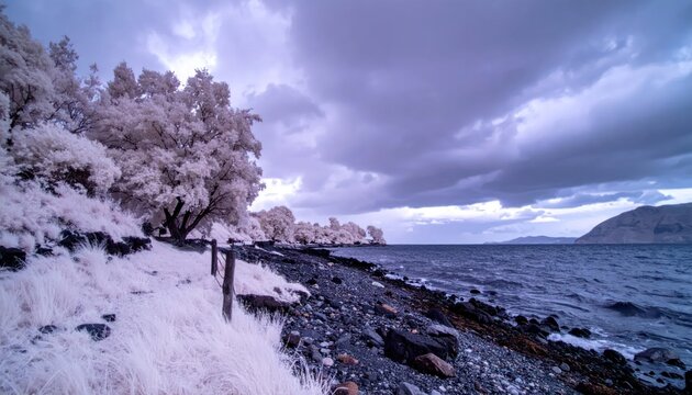 Ethereal Infrared Landscape: White Trees and Stormy Sea Under a Dramatic Sky