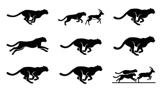 Black silhouette of running cheetahs sprinting.