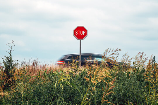Red octagonal stop sign standing in tall green and golden grass. A dark car with motion blur passes behind it under an overcast sky.