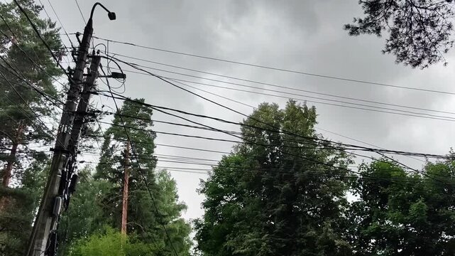 Overhead utility wires stretch across treetops in a suburban neighborhood, infrastructure, communication network, outdoor environment.