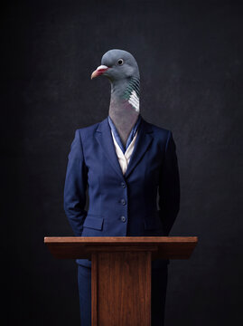 Female speaker, politician or company representative, represented as a ringdove in blue suit behind lectern, hands behind back. AI generated.