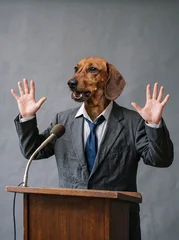 Speaker, politician or company representative, represented as a Dachshund in worn-out suit behind lectern, showing defensive gesture. AI generated. © eyewave