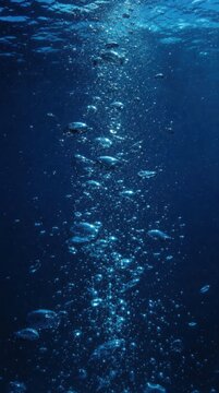 Rising air bubbles in deep blue water, capturing light and motion underwater.