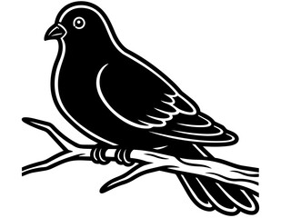 Obraz premium DOVE BIRD ON BRANCH SILHOUETTE