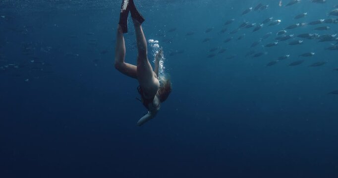 Attractive freediver woman dives underwater in blue ocean with school of tuna fish