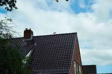 Obraz premium Silhouette of a roof with a Eurasian oystercatcher perched on top